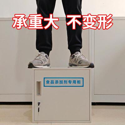 铁皮收纳柜食品添加剂专用柜小型定制柜子不锈钢单门铁柜文件柜