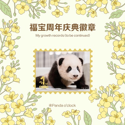 Panda o'clock 熊猫福宝周年庆典徽章生日限定款 和熊猫一起