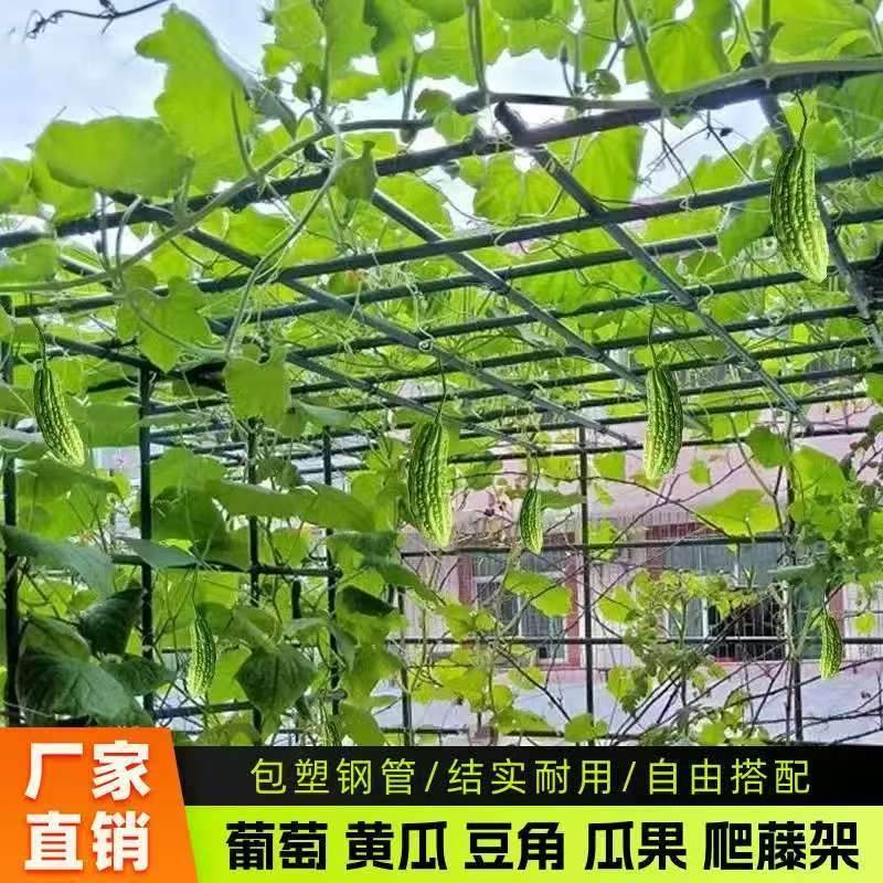 爬藤架葡萄架子庭院户外花架包塑钢管固定植物支撑杆园艺支架