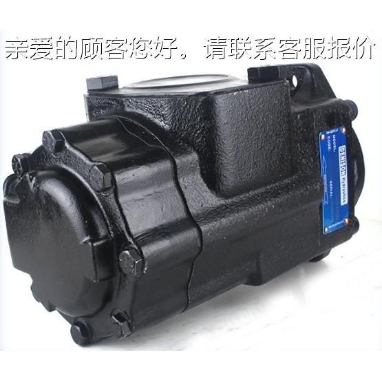 T7EE三C 05 052 025 2L34 A10T7EEC 0570T7EEC双联泵T7D2BM联叶片