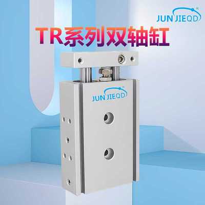 源头TR6/10/16/20/25/32双杆气缸双轴气缸小型气动双作用气缸