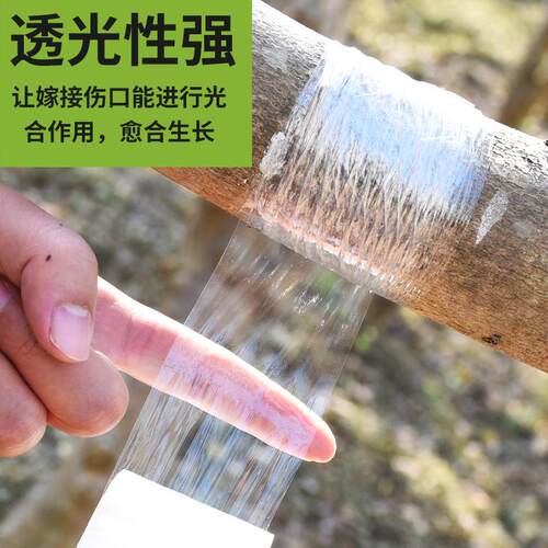 嫁接专用PE薄膜可降解自粘式包扎带 园艺嫁接胶带送刀