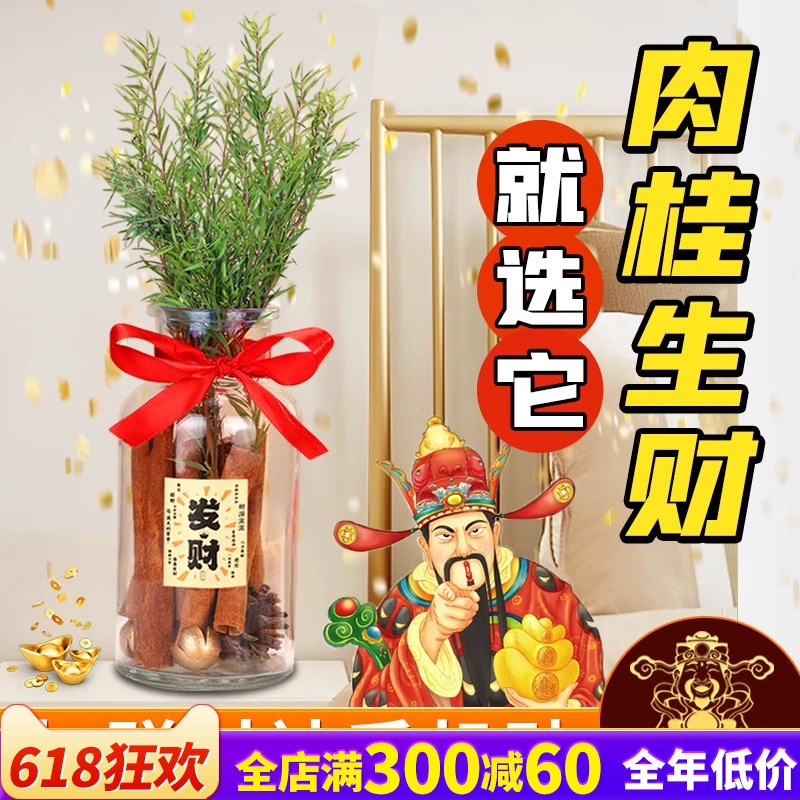 肉桂生财摆件玻璃瓶子diy材料包办公室卧室床头客厅工位车载家用