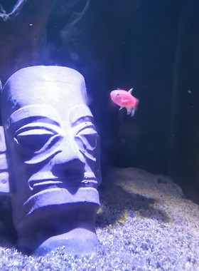 冬官手作 水泥鱼缸造景布景活石草缸原生缸饰品星堆像