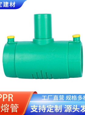 90mmppr电熔三通等径 110钢丝网骨架复合管 160ppr电熔管件 200配