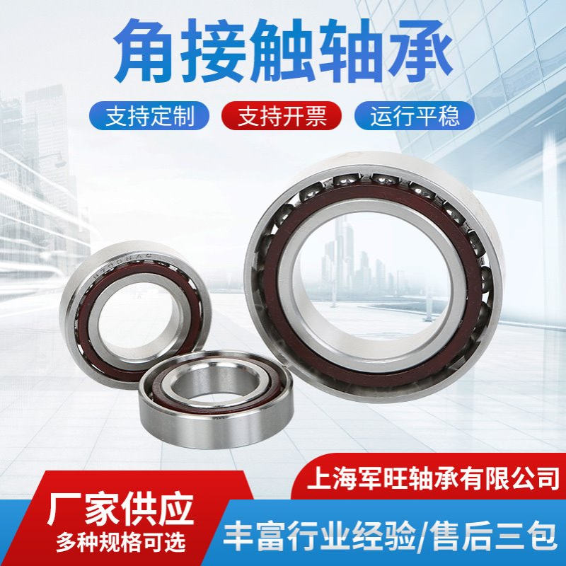 不锈钢角接触球轴承S7202AC S7203AC S7204 S7205 S7206AC S7301