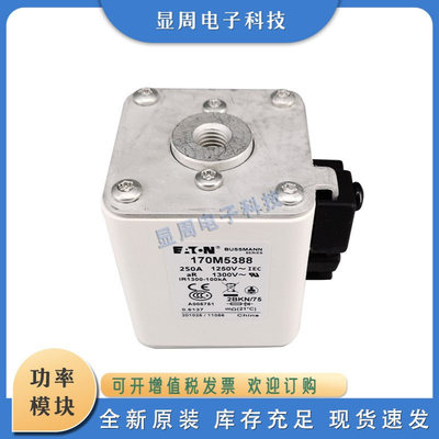 全新保险丝熔断器170M5366 170M5371 170M5374 170M5388 170M5389