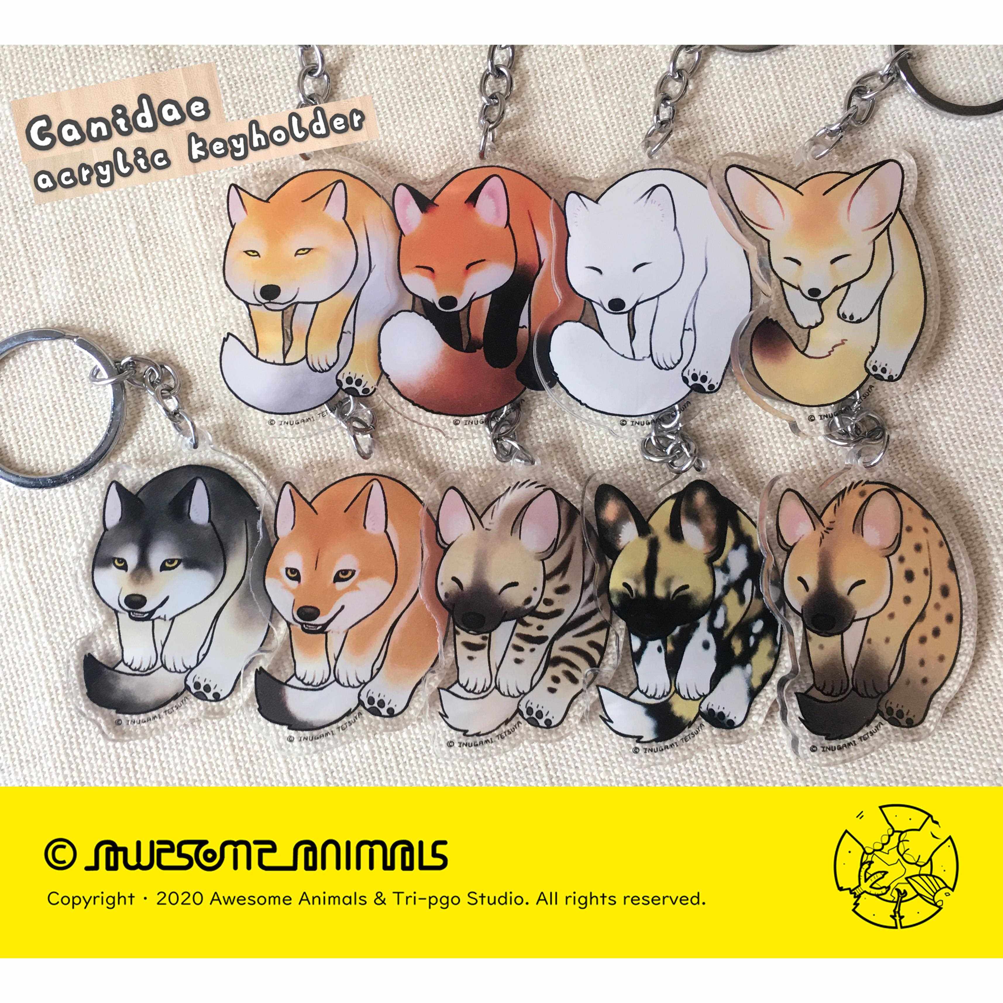 原创 犬科鬣狗亚克力钥匙扣 狼狐狸赤狐北极狐耳廓狐藏狐非洲野犬