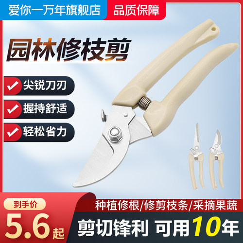 园艺剪修枝剪花剪园林剪花艺剪剪树枝果树剪刀枝剪修剪花卉剪子