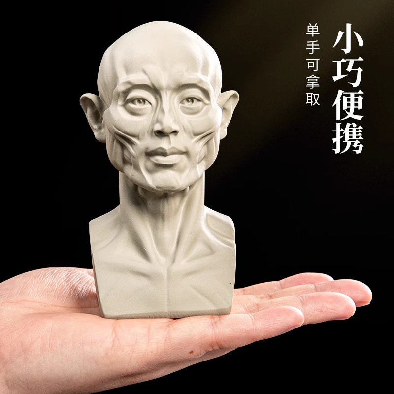 出神入画头头是道素描头像教具米隆石膏像头骨模型雕塑美术教具