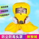 防毒全面罩 修耐酸碱防油防飞溅头套 防尘防毒头罩 喷漆打磨装