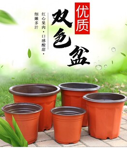 90种植杯育苗杯100个双色盆底部透气软塑花盆鱼菜共生系统配套用