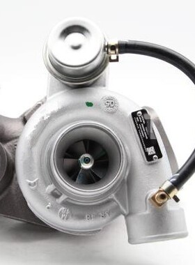 T250-4 452055-5004S ERR4893