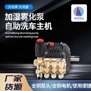 耐压150kg高压喷雾泵环卫降尘园林雾化高压柱塞泵清洗泵高压泵头