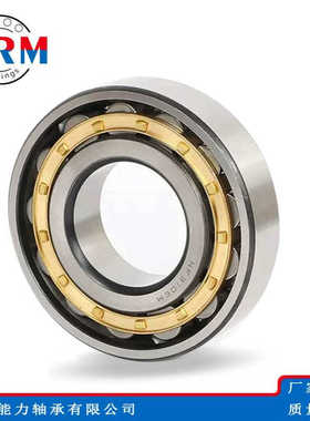 WRM圆柱滚子轴承NF2203 NF2204 NF2205 NF2206 NF2207EM轴承