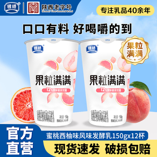 西安银桥果粒满满风味发酵乳蜜桃西柚味150g*12杯装营养早餐牛奶