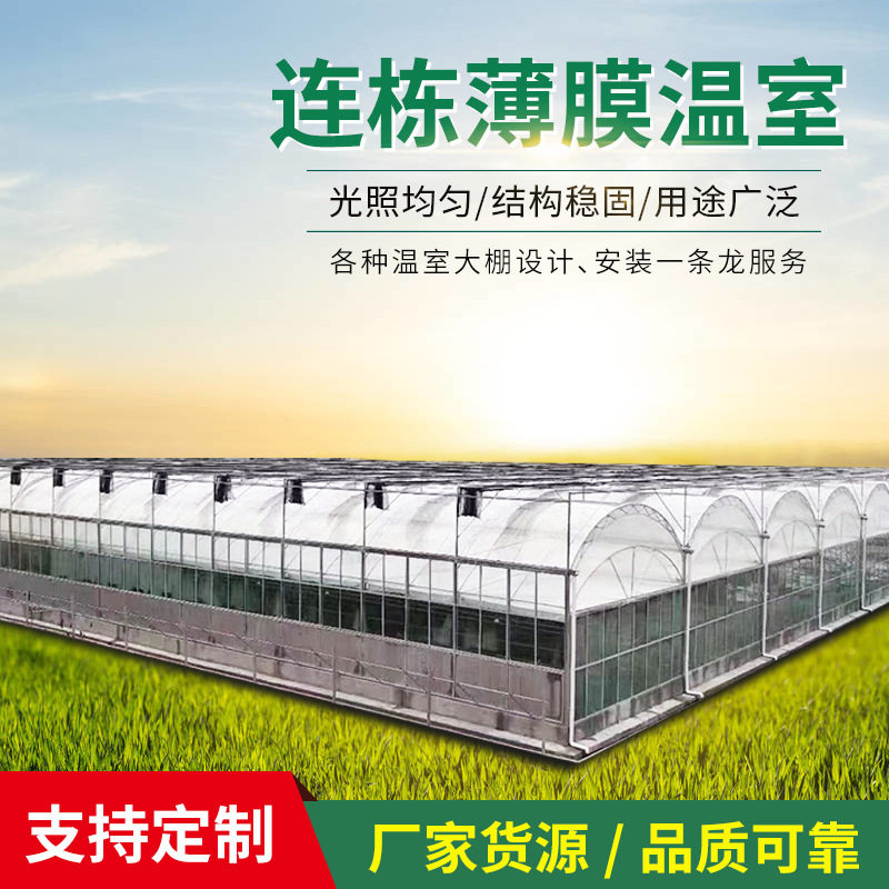 连栋薄膜温室 蔬菜瓜果阳光连栋温室大棚 农业生态种植观光大棚