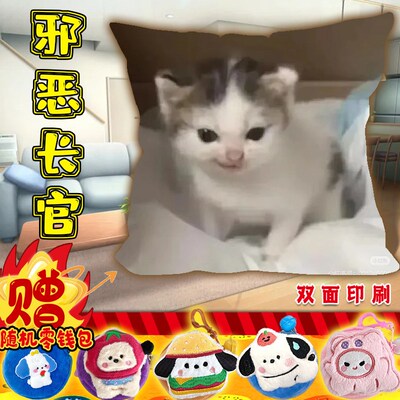 猫meme抱枕小j猫剧场玩偶创意宠物哈基米厨师帽万恶之源车载靠枕