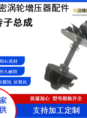 汽车涡轮增压器配件  转子总成 GTB2056V/781743/777318