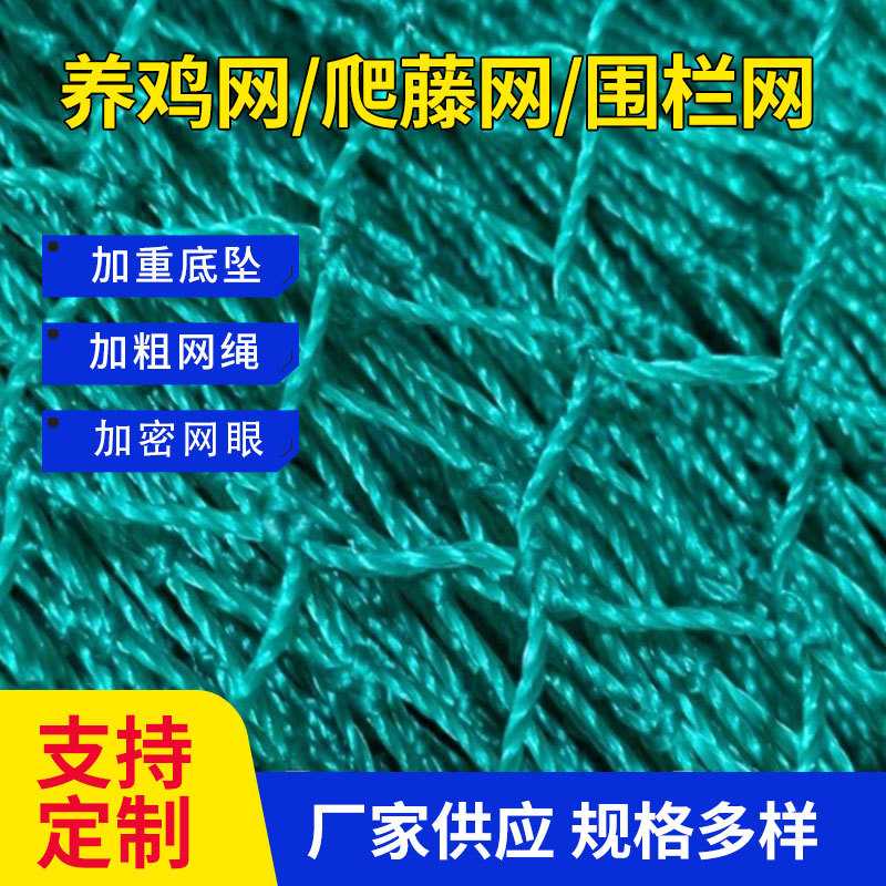 养鸡网爬藤网围栏菜园围网尼龙网拦鸡网家禽塑料网护栏网防水