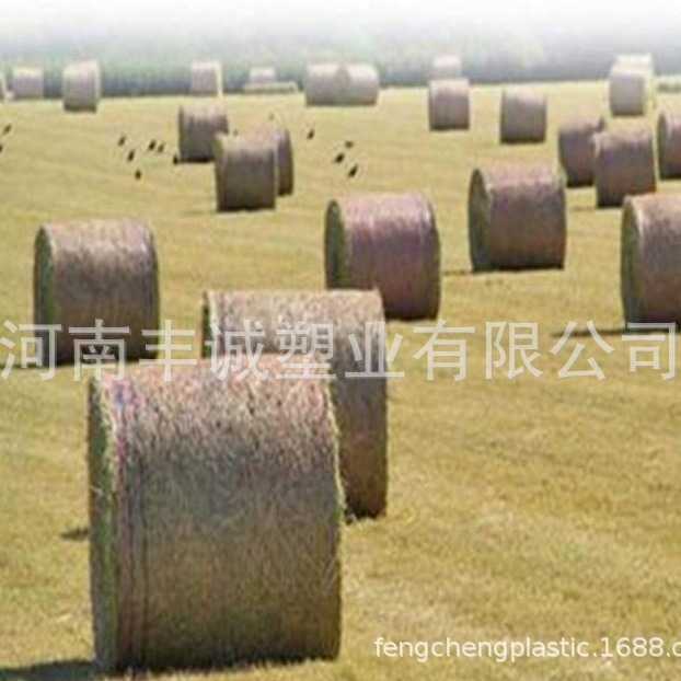 供应农业用捆草网玉米秸秆小麦杆水稻牧草打草网HDPE打包