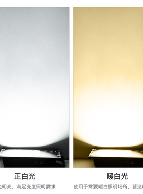 30瓦50dW投光灯led户外地灯绿色黄光照树灯景观灯室外庭院防水射