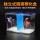 鱼缸孵化盒独h立式 隔离盒繁殖盒水族斗鱼盒亚克力隔离缸外多功能