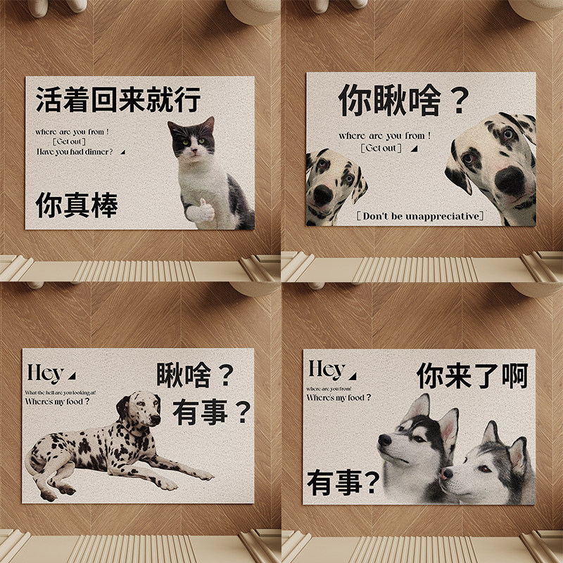 丝圈入户门地垫进门前脚垫活着回来就行2023O耐脏门外蹭土免洗地