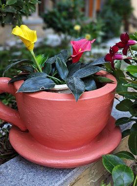 创意花园摆件创意花盆大号咖啡杯花缸庭院阳台Q布置造景可种植装