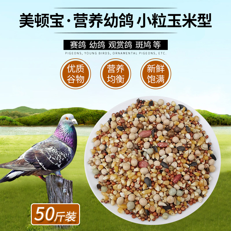 美顿宝战鸽小粒玉米m50斤鸽粮赛飞营养饲料红土鸟食信观赏肉鸽斑