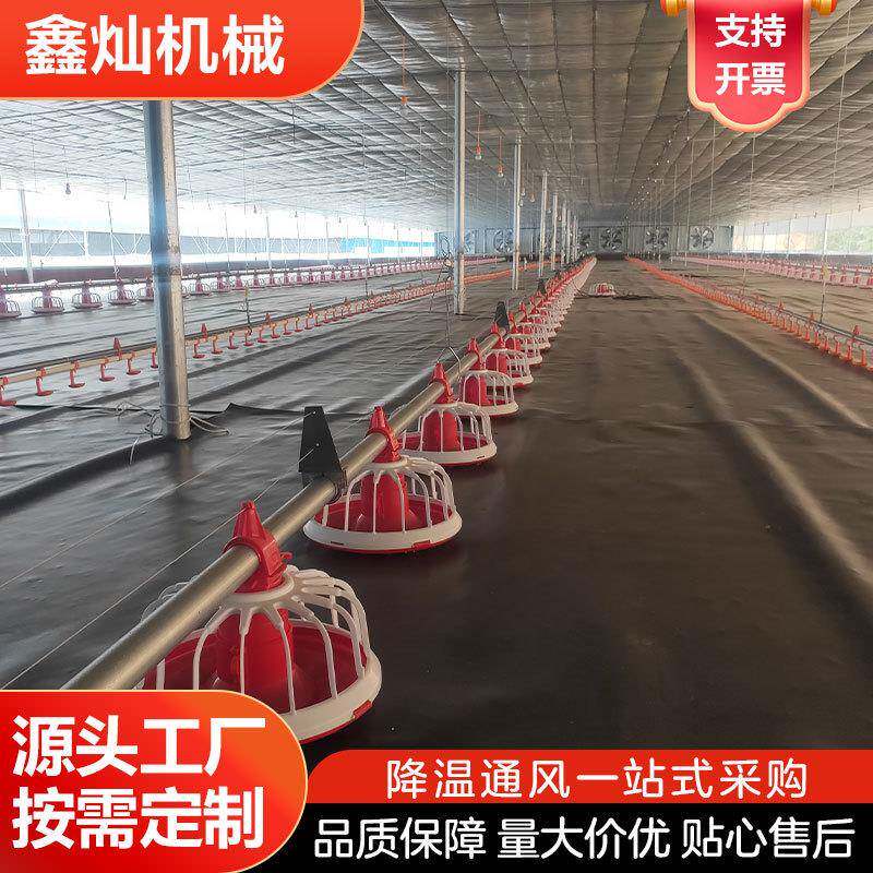 养鸭料线肉鸭自动喂养设备自动料线养殖料线全自动