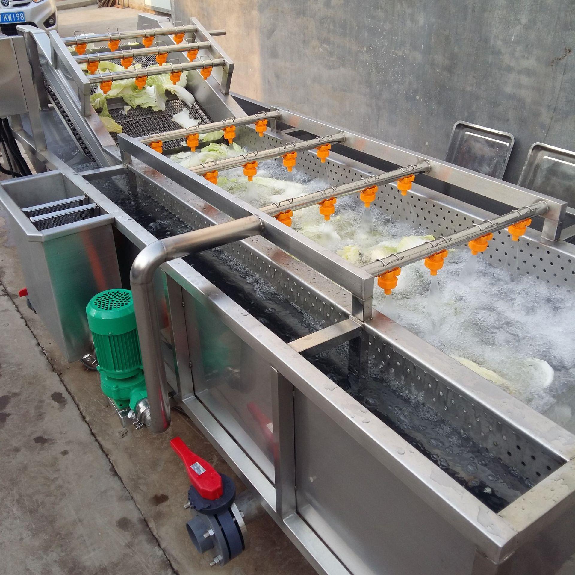 现货款山楂小西红柿清洗机喷淋气泡清洗机水果清洗设备