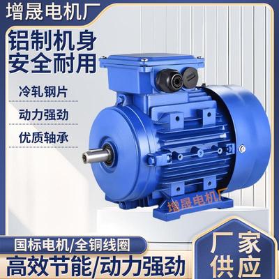 厂家销售MS铝壳三相异步电动机MS100L-61.5W铝壳电机