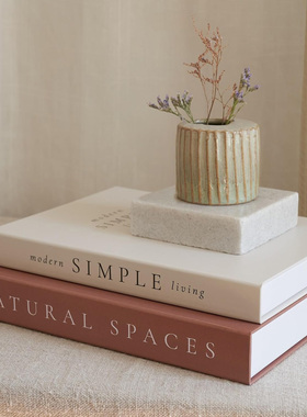 高级感磁吸假书收纳盒室内软装轻奢仿真书摆件卧室房间饰品储物盒