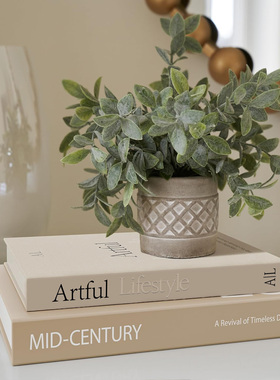 现代简约可打开小众桌面装饰品高级感仿真书收纳盒高颜值假书摆件