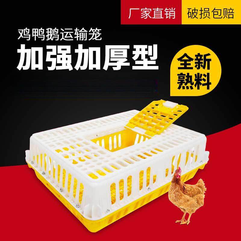 鸡笼子运输笼塑料周转箱装鸡鸭筐养殖场鹅家用室外大号