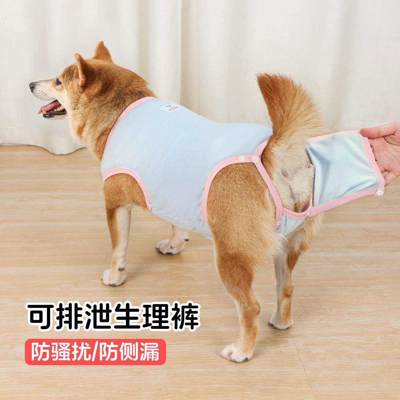 宠物狗狗生理裤母狗可排泄防交配裤柴犬柯基姨妈月经生理期安全裤