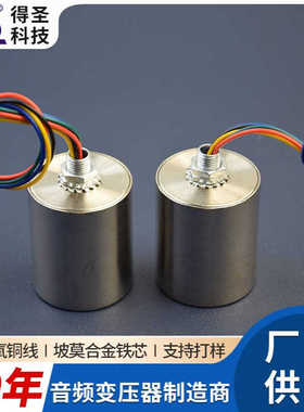 DSUI24530音频变压器600：600OTC高端音频牛