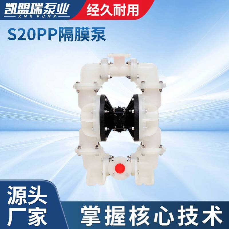 S20PP塑料隔膜泵厂家供应S20B3P2PPS100隔膜泵往复泵工程隔膜泵