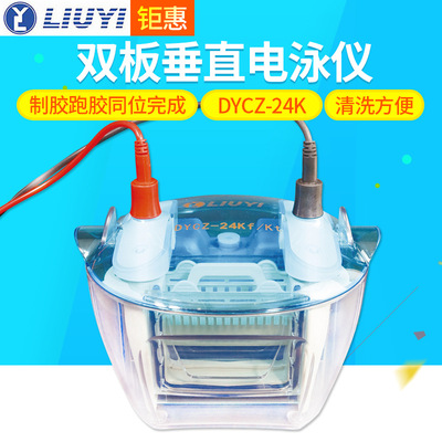 北京六一 DYCZ-24K DYCZ-24KS 双板垂直电泳仪 电泳槽