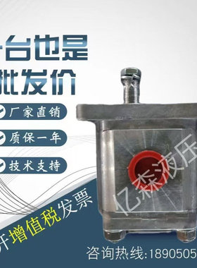 HESPER赫思博齿轮泵HA3-42.6/19.5/22.5/24.5/28/32.7-B311-C油泵