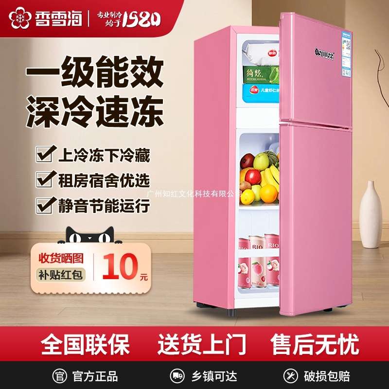 香雪海冰箱小型家用双开门二人出租房用单人宿舍迷你能效省电