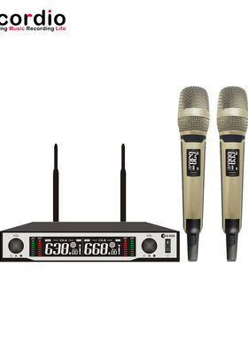 GAW-EW600厂家批发U段麦克风 专业一拖二批量麦克风话筒批发货源