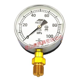 100MPa压铸机用 100 日本ASK压力表AK1
