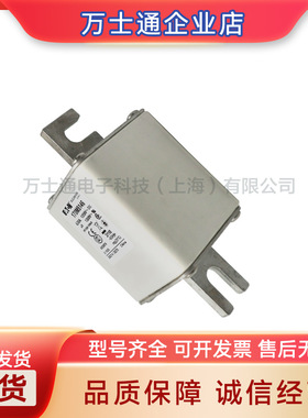 170M5308 170M5309 170M5310 170M5311 170M5312全新熔断器现货