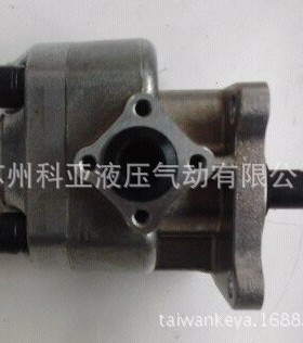 台湾锐力齿轮泵RGP-F319RN-K4 RGP-F125R RGP-F130R RGP-F140R