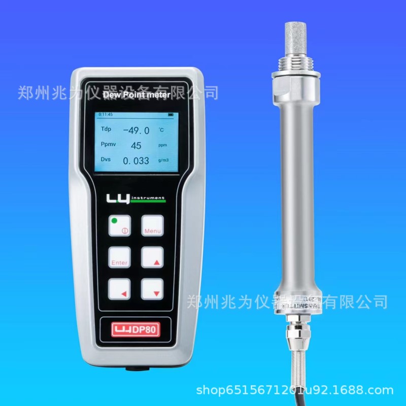DP80手持露点仪瑞士罗卓尼克DP80露点仪DP-80水分测量露点仪