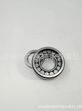 SI183028 SI183030 SL182204  SL182205 装满圆柱滚子轴承