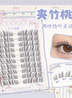 风吹竹叶灵动感「夹竹桃」狐系假睫毛眼尾拉长自然长眼型 bb37