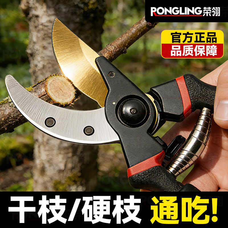 荣翎果树修枝剪园林花艺剪刀图片